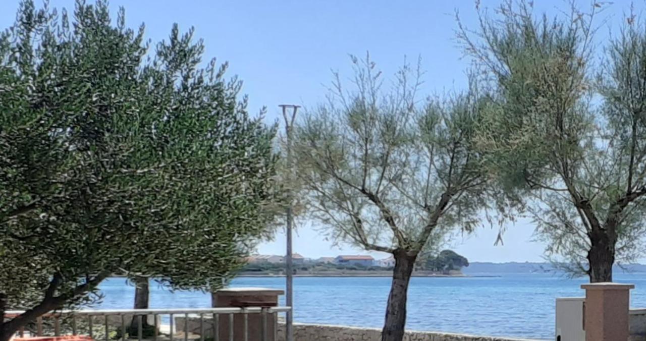 Cvita & Gabi - Kuca Za Odmor Privlaka  Dış mekan fotoğraf